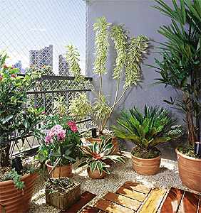 ideias de jardim em vasos para apartamento pequeno