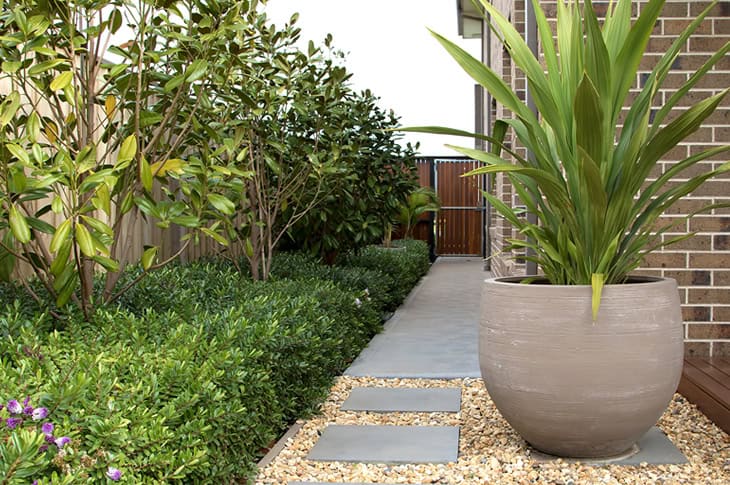 erros comuns ao montar jardim em vasos