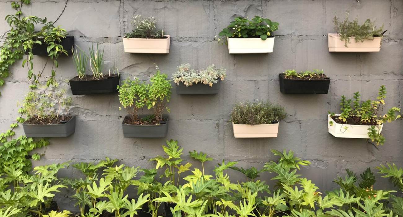 vasos de barro vs vasos de plástico para jardim