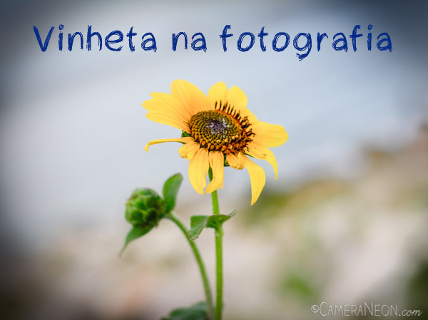 erros comuns ao criar vinheta de vídeo