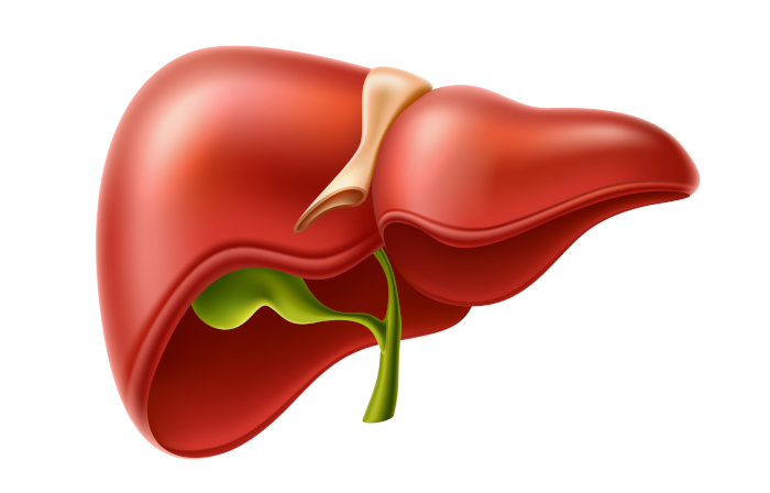 5 ideias de títulos:
1. O Custo Real do Transplante de Fígado no Brasil: SUS vs. Particular
2. Mercado Negro de Órgãos: Os Perigos e Estimativas Ilegais
3. A Incrível Capacidade de Regeneração do Fígado Humano
4. Doação de Fígado: Como Funciona a Fila e o Processo
5. Mais de 500 Funções Essenciais: Entenda o Valor Biológico do Fígado