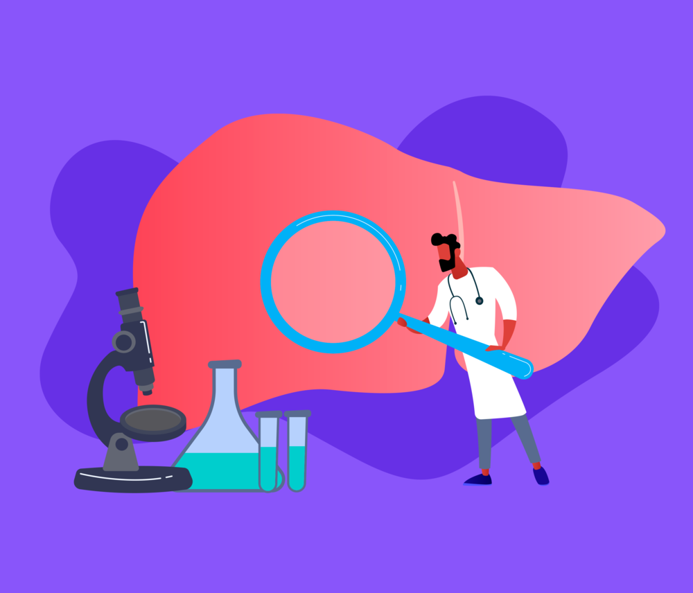 valor do fígado humano