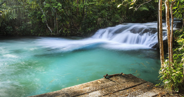 erros comuns ao escolher balada em palmas
