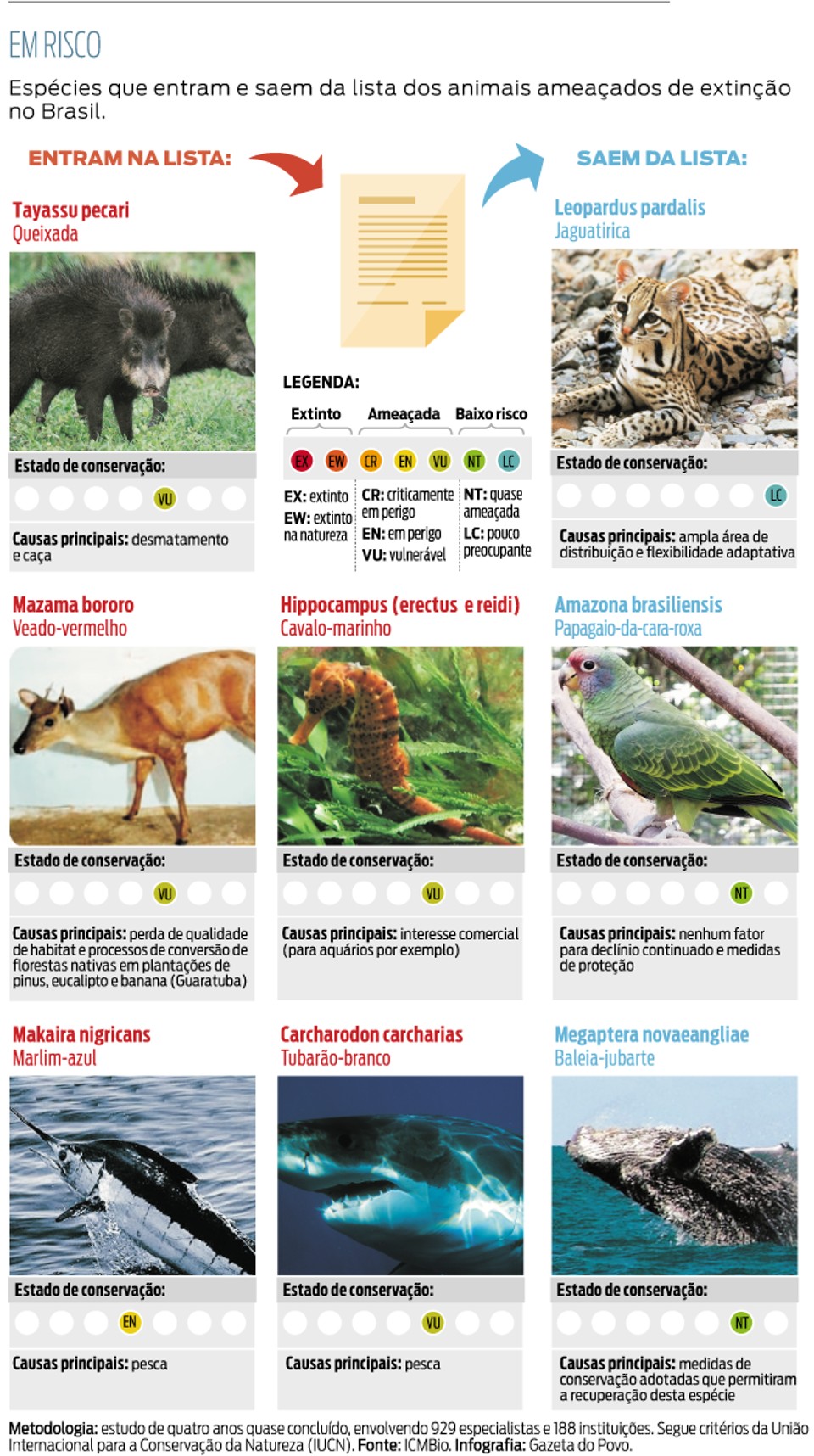 lista de animais em extinção Brasil