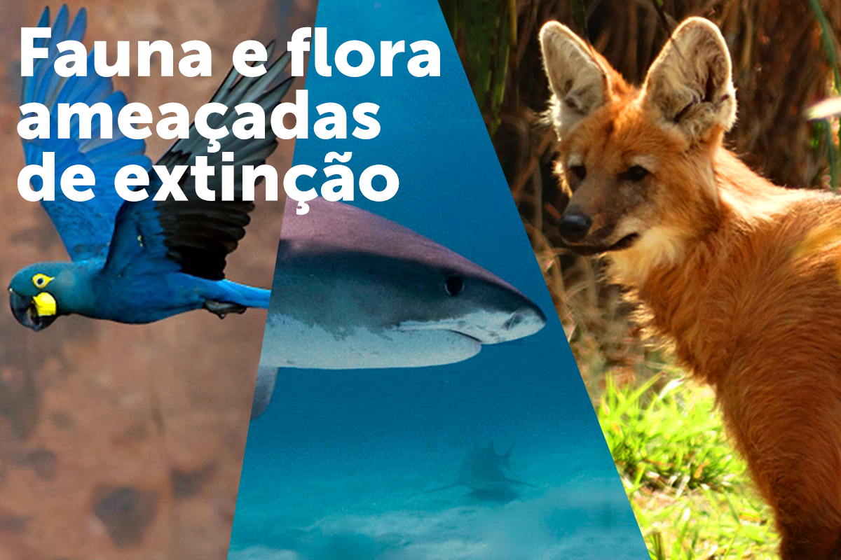 conservação da fauna brasileira