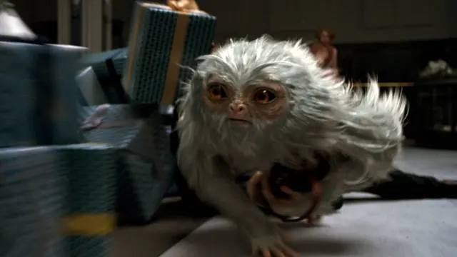 Pelúcio características