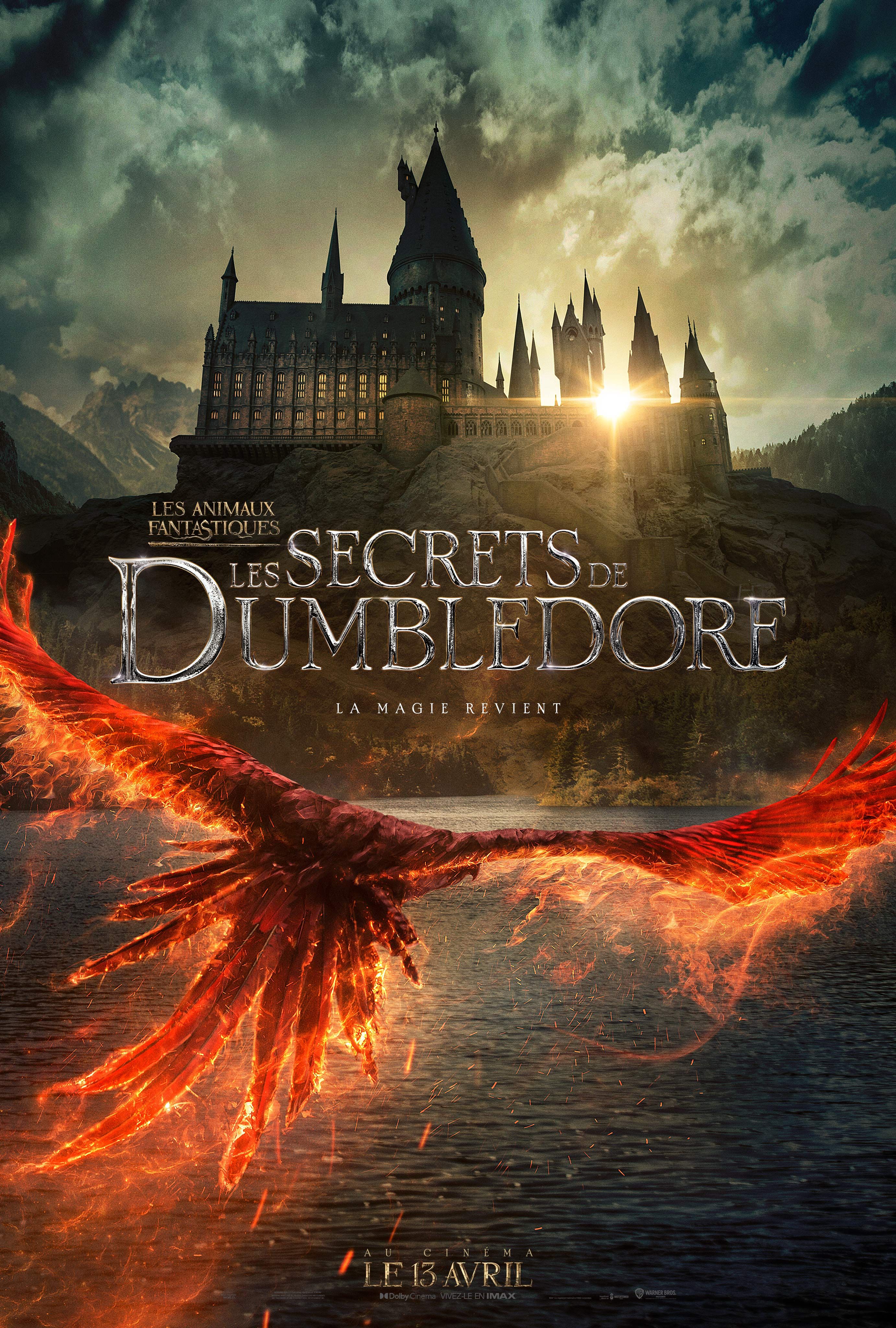 criaturas mágicas universo Harry Potter
