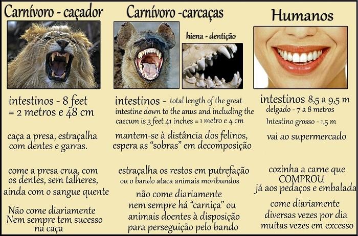 lista de animais que comem plantas