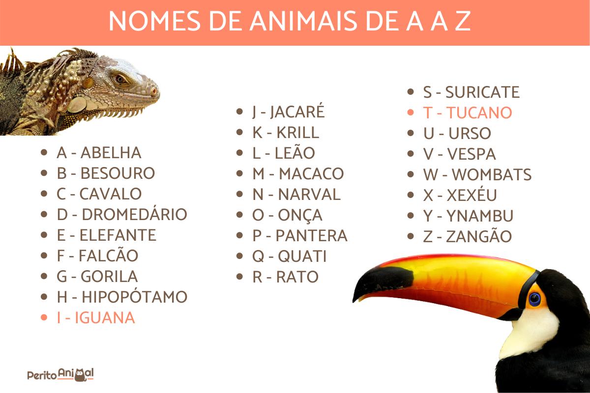 tipos de mamíferos