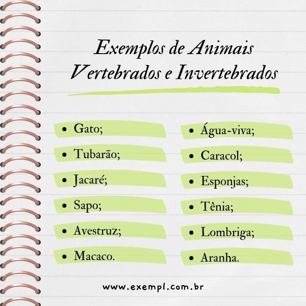 mamíferos marsupiais
