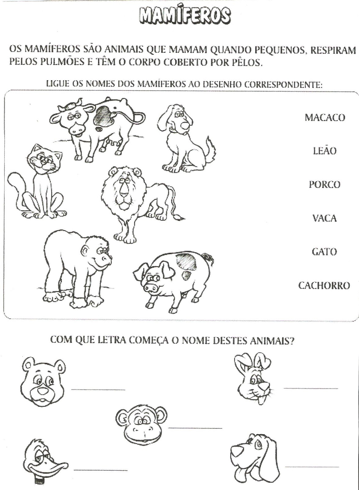 animais com glândulas mamárias