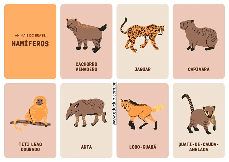 animais com glândulas mamárias