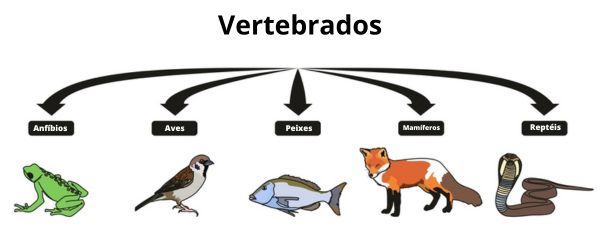classificação dos animais vertebrados