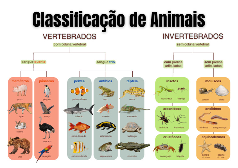 tipos de animais vertebrados
