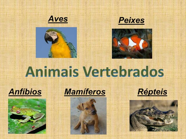 classificação dos animais vertebrados