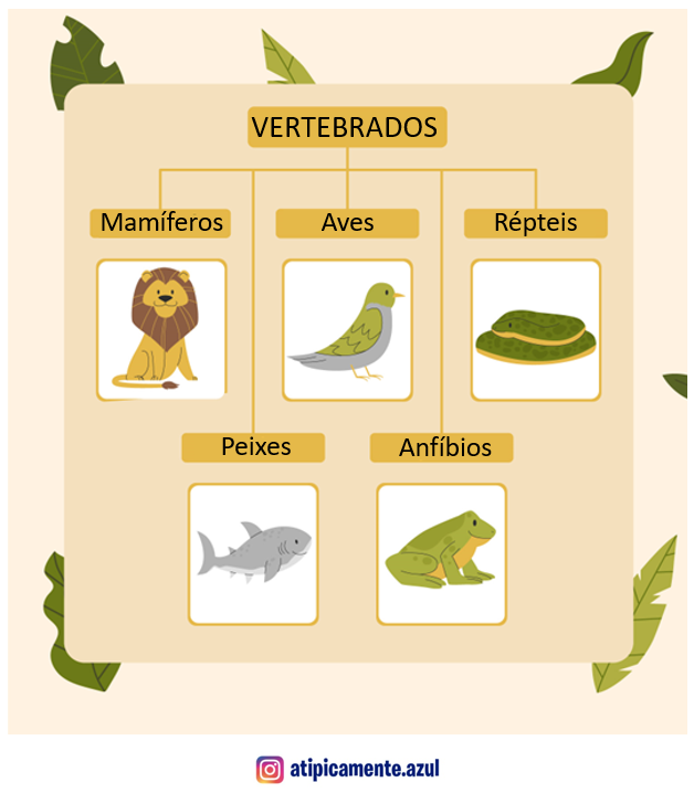 características dos peixes