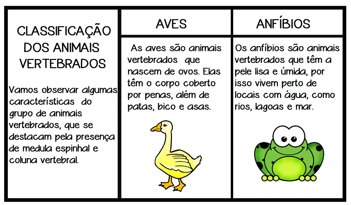 tipos de animais vertebrados