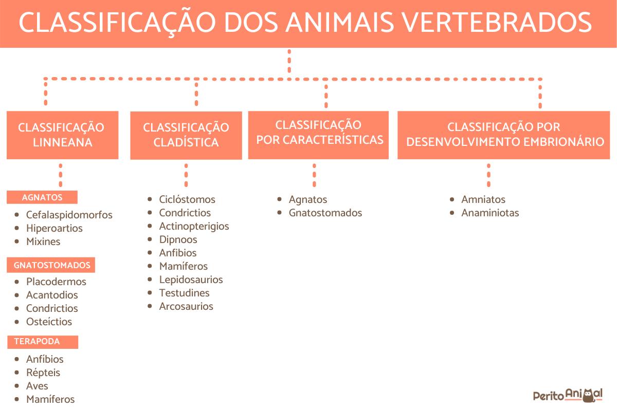 características dos mamíferos