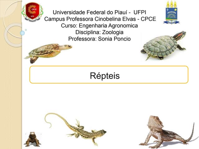 répteis exóticos