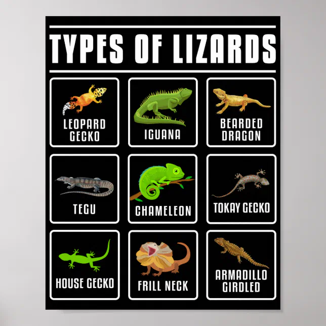 crocodilos e jacarés nomes