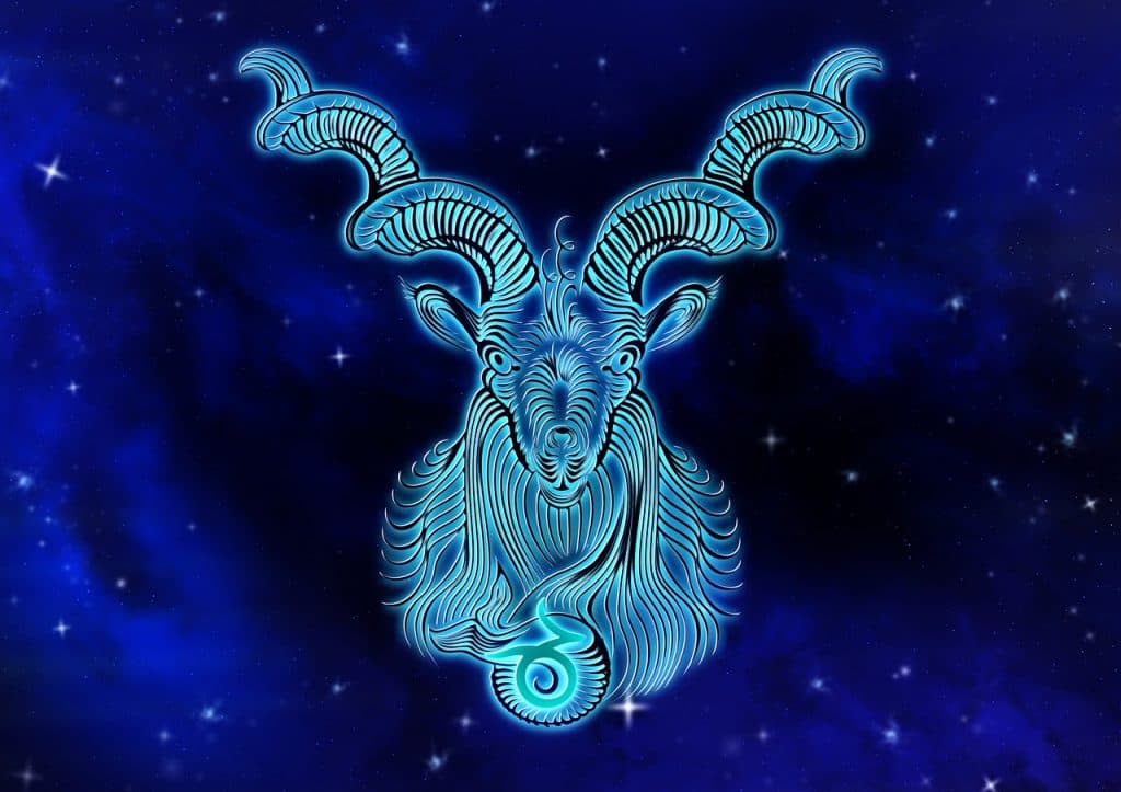 elementos do signo capricórnio