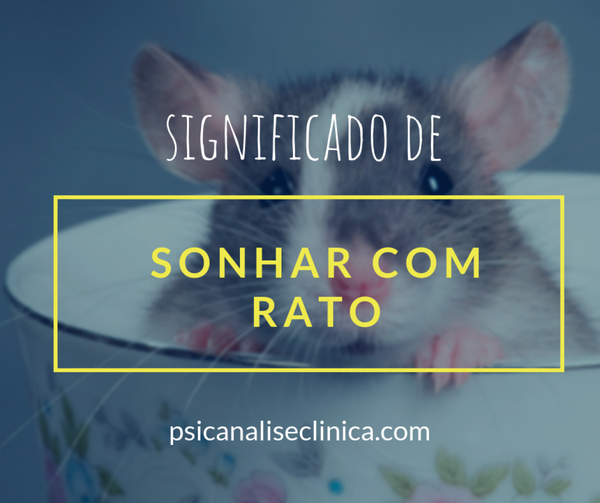 significado de sonhar com rato branco