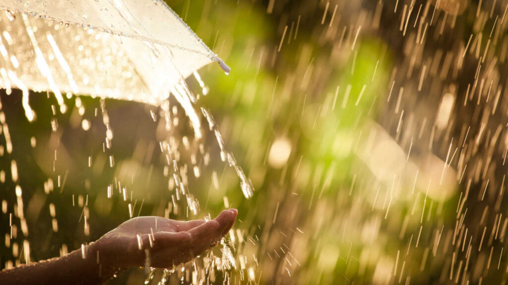 sonhar com chuva e sol