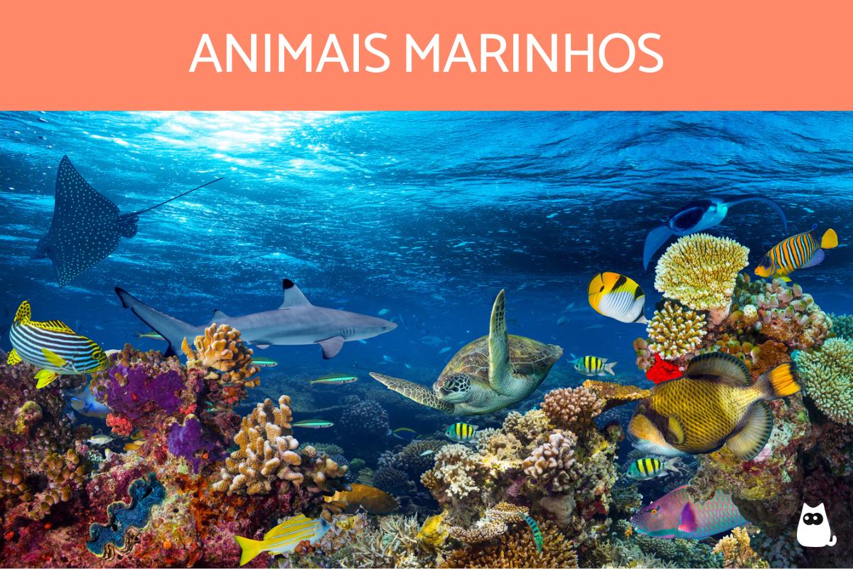 biodiversidade oceânica