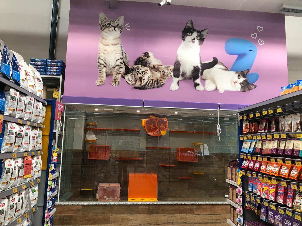 Animais para adoção Petz
