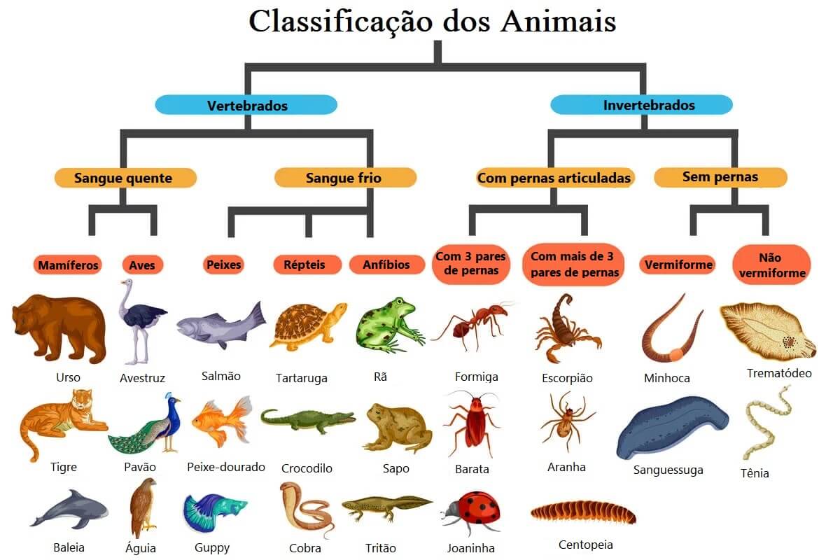número de espécies animais no planeta