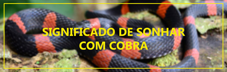 significado cobra preta e vermelha sonho